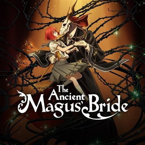 mages wife anime|ancient magus bride watch anime dub.